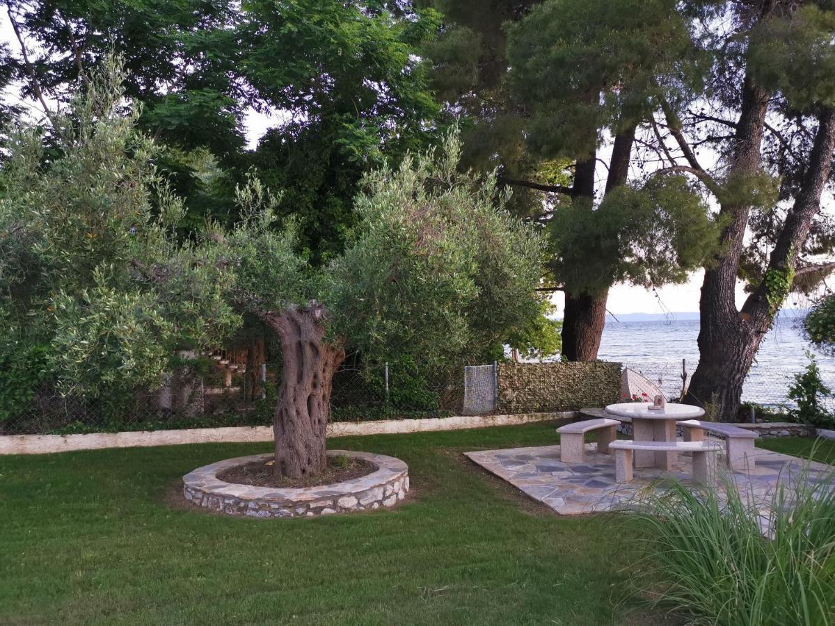 Ca' Del Mare 35M2 Villa Kalogria  Bagian luar foto